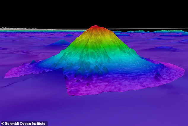It covers nearly 70 per cent of the Earth's surface, yet only five per cent of our world's ocean have been explored. Now, scientists exploring the waters off the coast of Chile have discovered a huge underwater mountain that's home to a range of weird and wonderful creatures