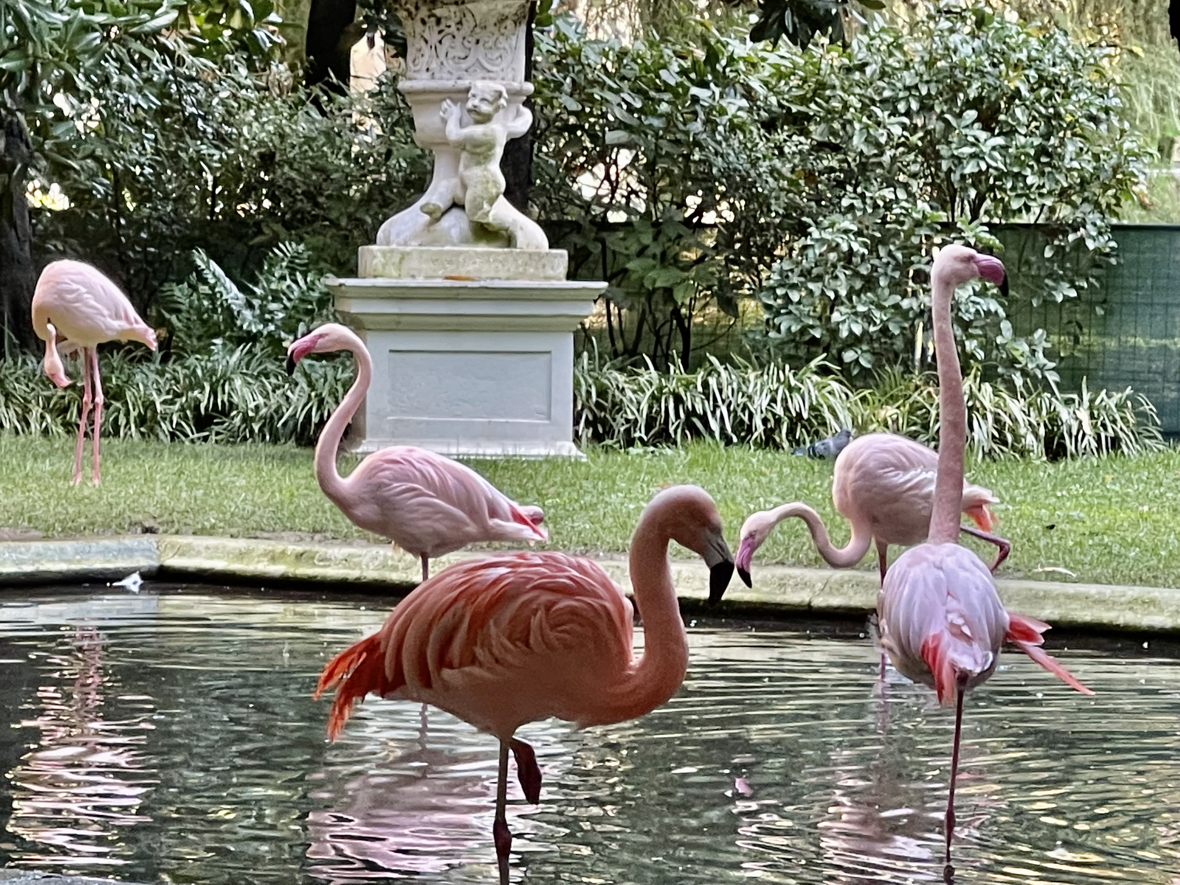 Make a pit stop at the secret garden of Palazzo Invernizzi to spy its pink flamingos