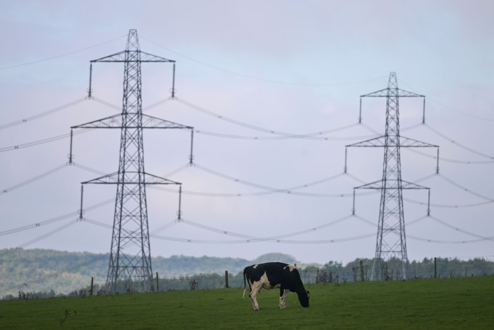 A cow grazes with a backdrop of electricity pylons in Winterbourne, England