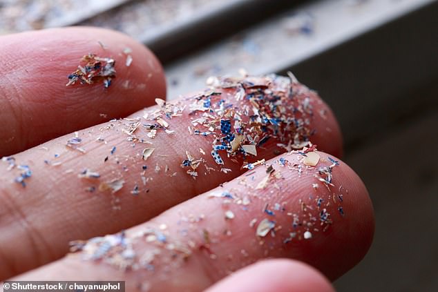 Microplastics are tiny particles of plastic that are everywhere and are increasingly being seen as a major health risk