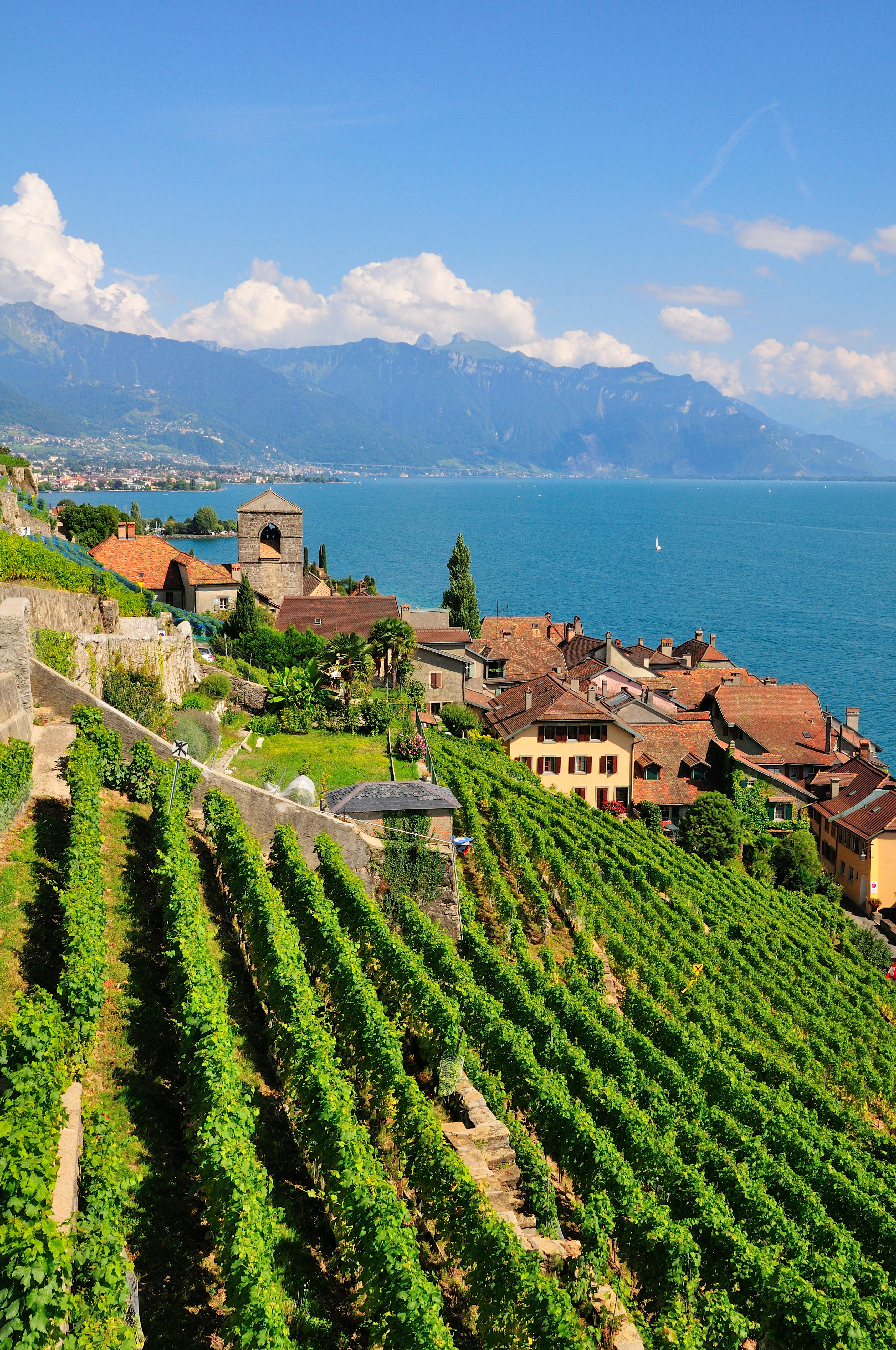 Lausanne is home to Unesco heritage listed vineyards