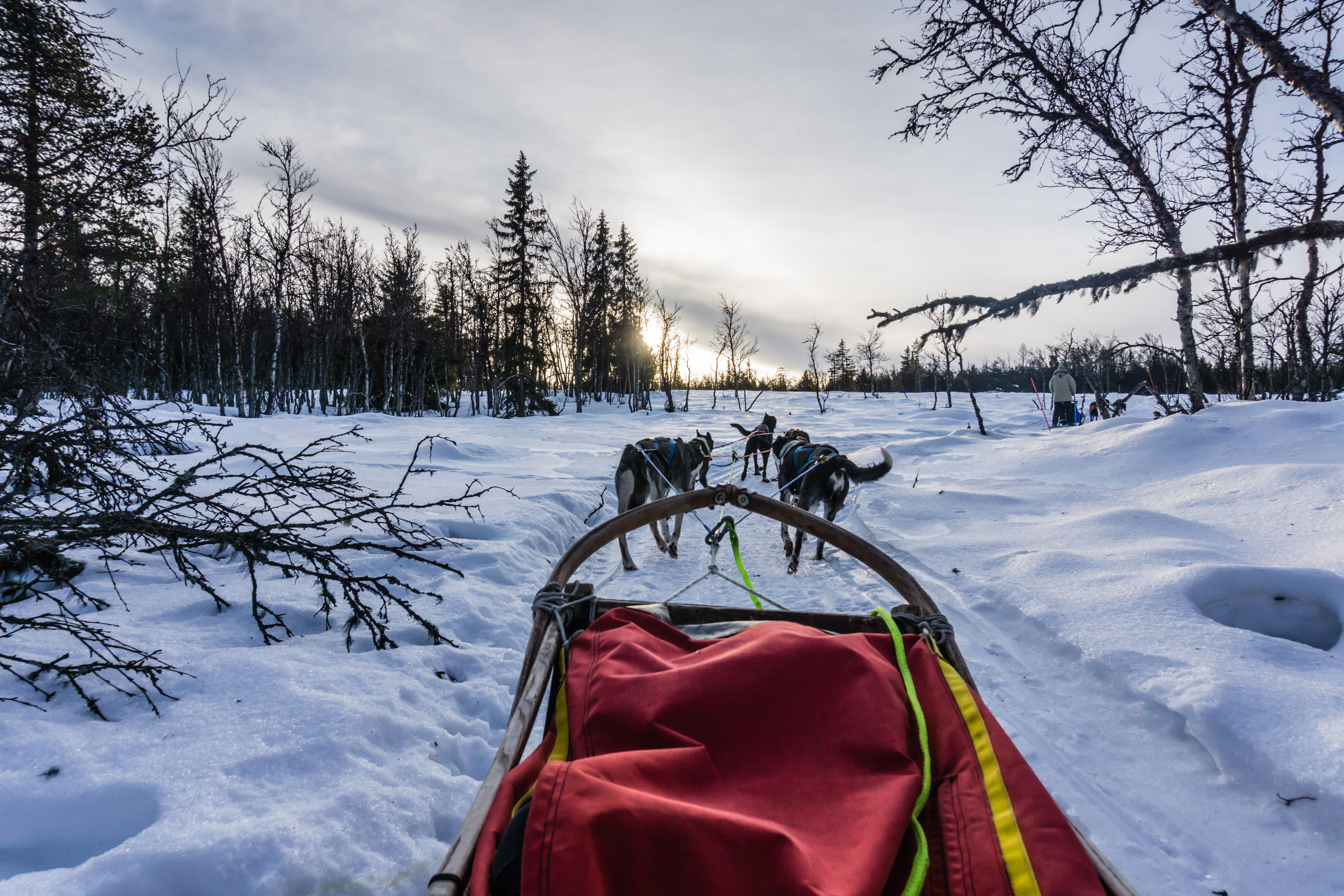 For added Narnia factor in Norway, take a sleigh ride through the village and into the woods