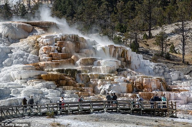 At Mammoth Springs in Yellowstone National Park, you can see travertine being formed in real time, as calcium-rich water precipitates its minerals onto the surface.
