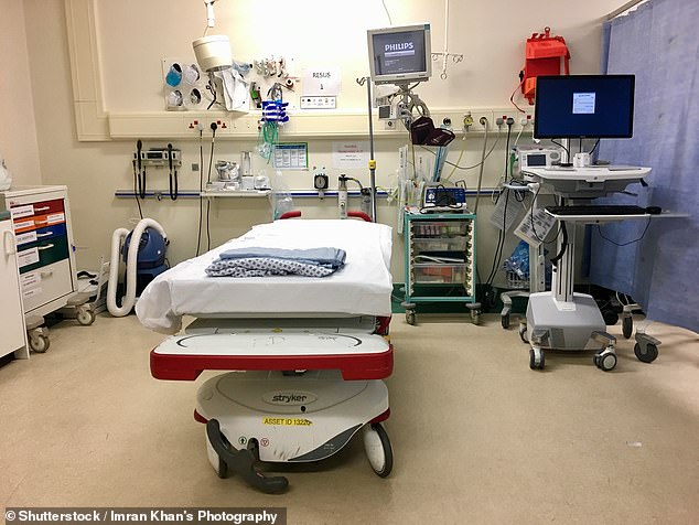Nearly 100,000 elderly patients waited more than 12 hours on trolleys in A&E last year – including one who spent five days waiting to be admitted (File Image)