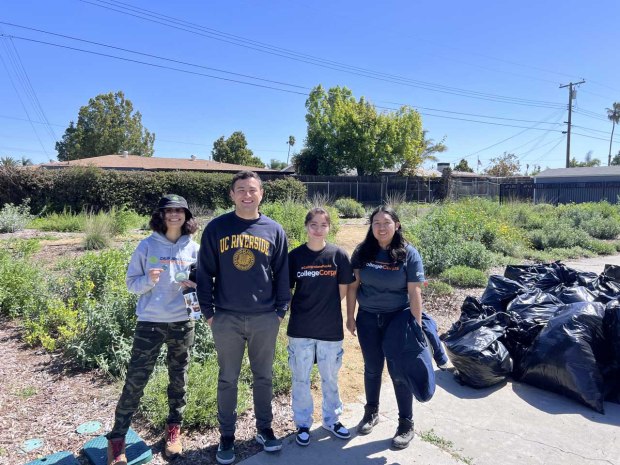 Inland Southern California Climate Collaborative staff members, from left, Ashley Jackson, Eric Calderon, Alyssa Gomez and Jazmin Anguiano volunteer this year at the Rivers & Lands Conservancy's California Native Plant Garden at Bryant Park in Riverside. (Courtesy of UC Riverside)