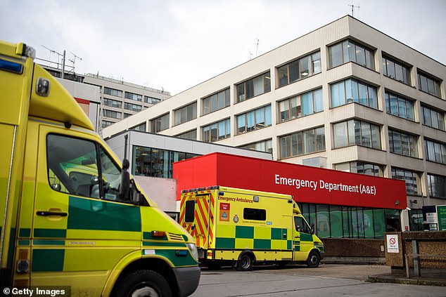 More than 150,000 patients endured A&E waits of more than 24 hours before securing a hospital bed last year, marking a tenfold increase since 2019, new figures reveal (stock image)