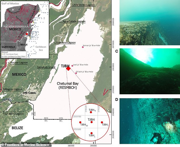 Location of the Taam ja’ blue hole (TJBH) in Chetumal Bay, Mexico, is presented alongside photos from scuba explorations of the TJBH at depths (B) 16 feet below sea level (C) 65 feet below sea level and (D) 98 feet below sea level