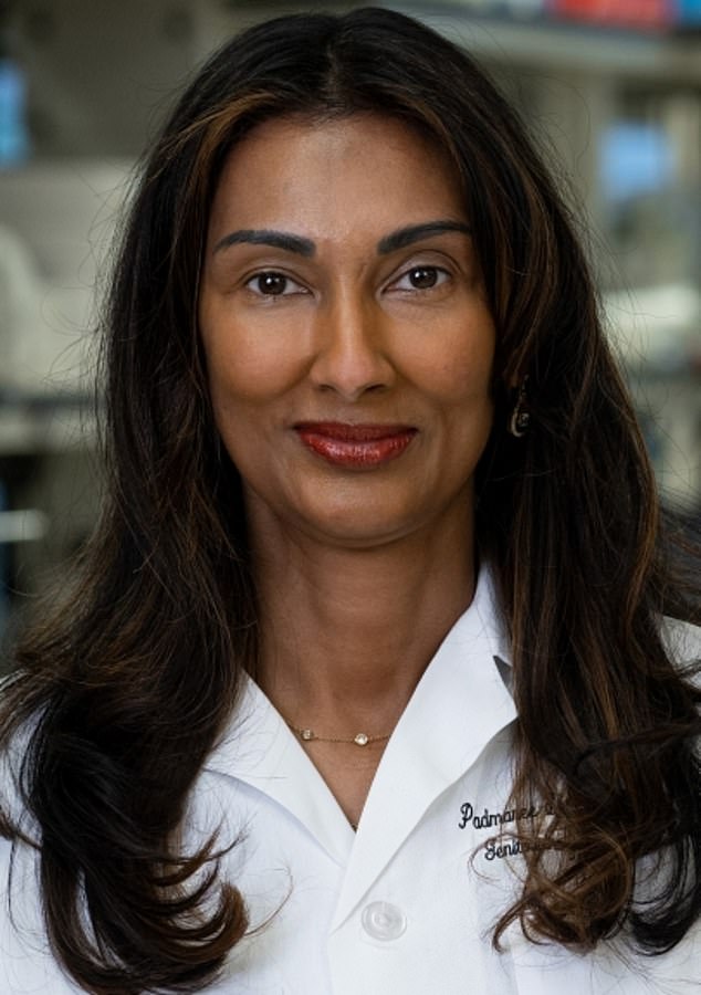 Dr Padmanee Sharma is a towering figure in cancer immunotherapy, but coworkers and former staff have alleged that she has fostered a toxic work environment in which people are publicly humiliated and threatened